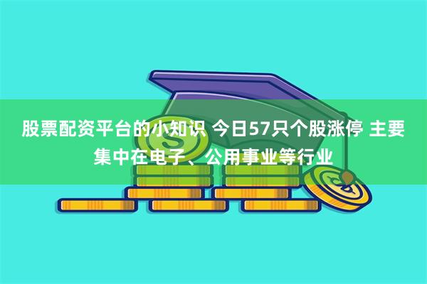 股票配资平台的小知识 今日57只个股涨停 主要集中在电子、公用事业等行业