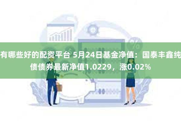 有哪些好的配资平台 5月24日基金净值：国泰丰鑫纯债债券最新净值1.0229，涨0.02%