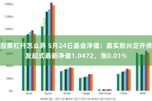 股票杠杆怎么弄 5月24日基金净值：嘉实致兴定开债发起式最新净值1.0472，涨0.01%