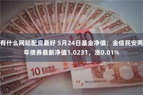 有什么网站配资最好 5月24日基金净值：金信民安两年债券最新净值1.0231，涨0.01%