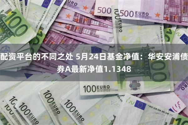 配资平台的不同之处 5月24日基金净值：华安安浦债券A最新净值1.1348