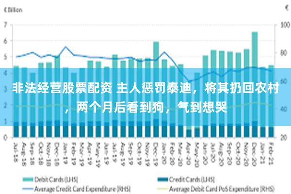 非法经营股票配资 主人惩罚泰迪，将其扔回农村，两个月后看到狗，气到想哭