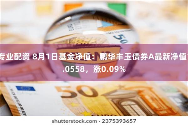 专业配资 8月1日基金净值：鹏华丰玉债券A最新净值1.0558，涨0.09%