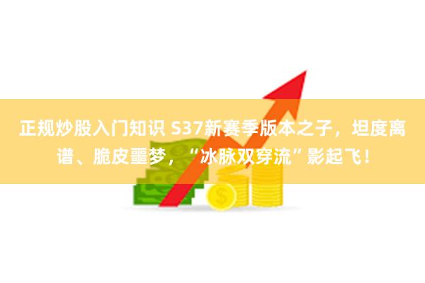 正规炒股入门知识 S37新赛季版本之子，坦度离谱、脆皮噩梦，“冰脉双穿流”影起飞！