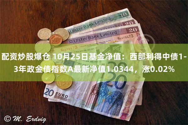 配资炒股爆仓 10月25日基金净值：西部利得中债1-3年政金债指数A最新净值1.0344，涨0.02%