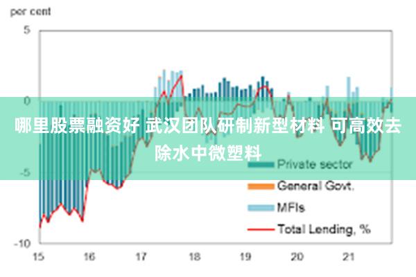 哪里股票融资好 武汉团队研制新型材料 可高效去除水中微塑料