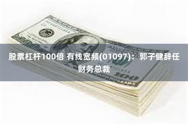 股票杠杆100倍 有线宽频(01097)：郭子健辞任财务总裁