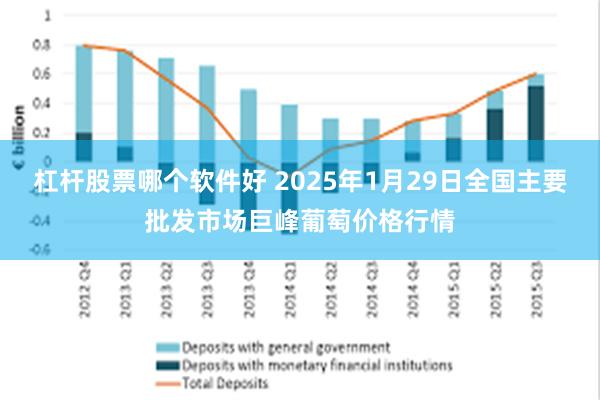 杠杆股票哪个软件好 2025年1月29日全国主要批发市场巨峰葡萄价格行情