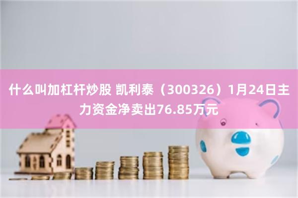 什么叫加杠杆炒股 凯利泰（300326）1月24日主力资金净卖出76.85万元